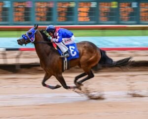 Pronostic Quinté du jour du Mardi 19 mars 2024 à COMPIEGNE dans le prix