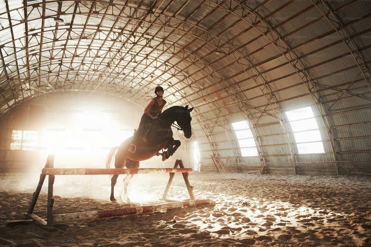 Pronostic Quinté du jour du Samedi 21 décembre 2024 à VINCENNES dans le