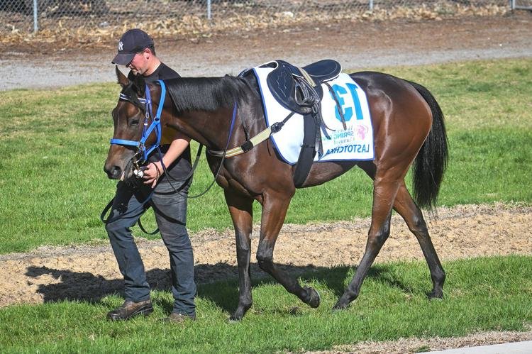 Pronostic Quinté du jour du Samedi 09 novembre 2024 à VINCENNES dans le