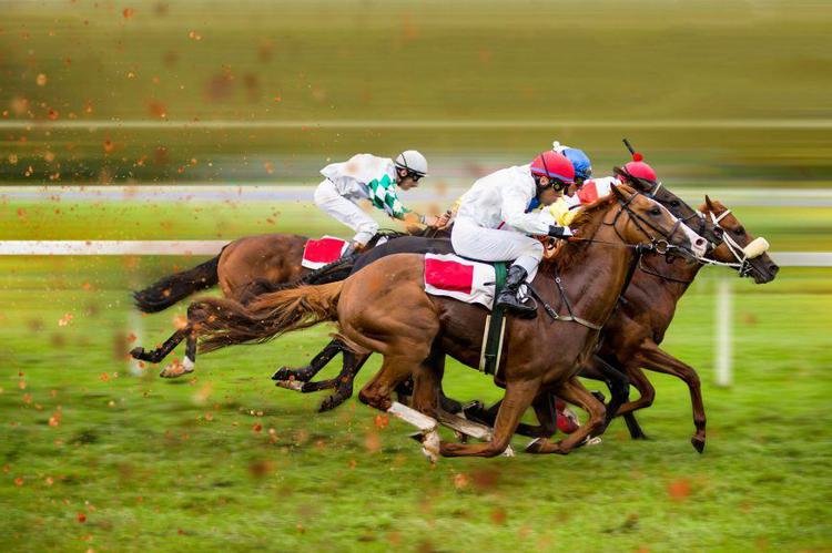 Pronostic Quint Du Jour Du Dimanche D Cembre Vincennes Dans Le Criterium Continental