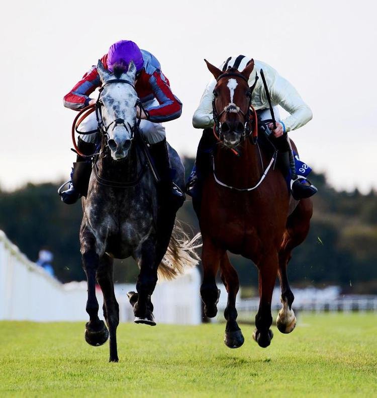 Pronostic Quint Du Jour Du Mercredi D Cembre Vincennes Dans Le Prix De La Tremblade